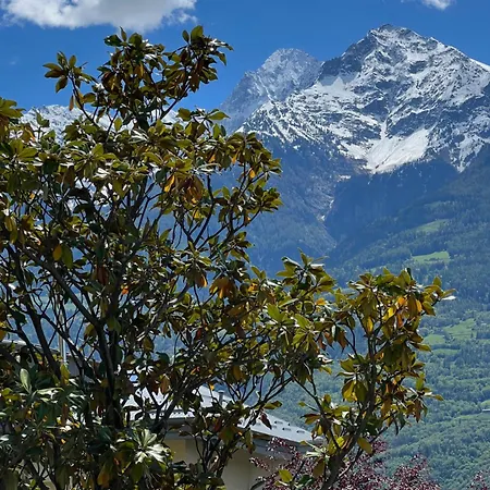 Les Oliviers Lejlighed *