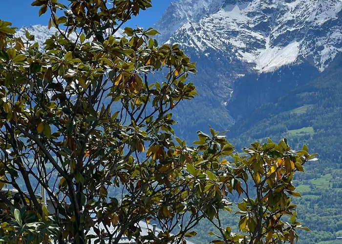 Les Oliviers Διαμέρισμα *